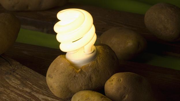 Power A Light Bulb With A Potato 108