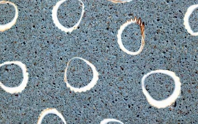 Polymer concrete ‘coins’