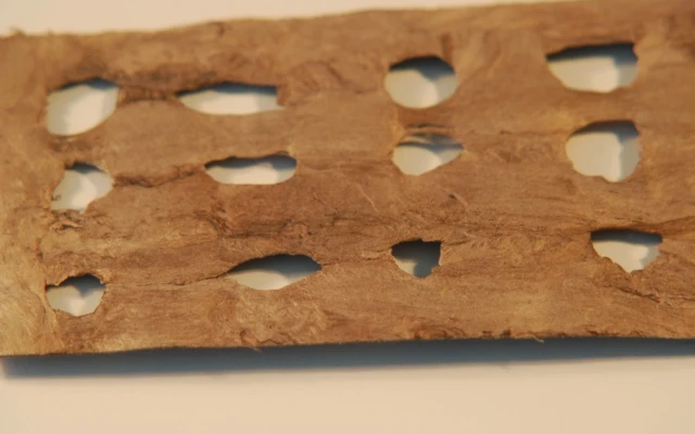 Cork Fabric