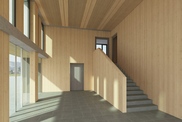 clear-wood-1