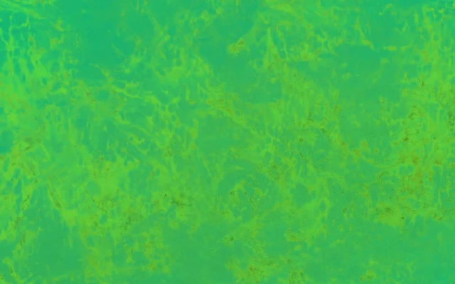 Metal Laminate