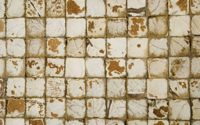 Coconut Tiles