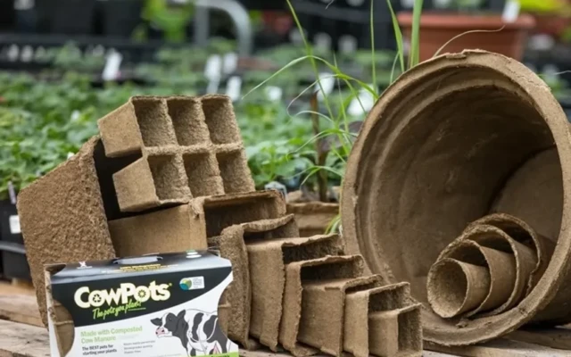 Cowpot
