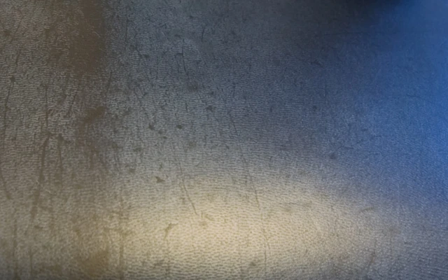 Parchment