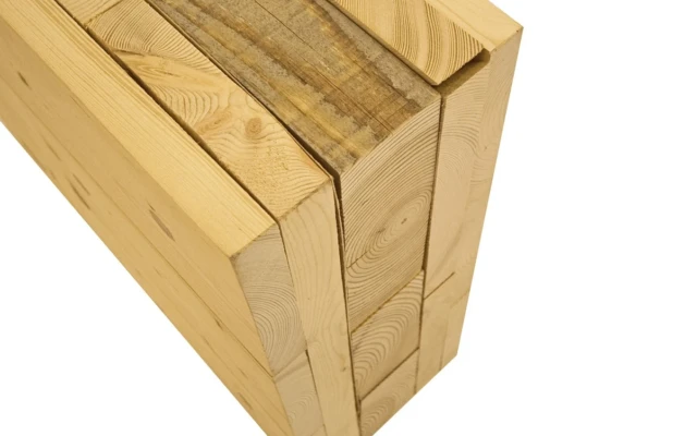 Holz100