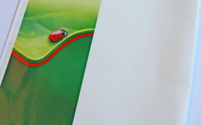 Biodegradable envelopes