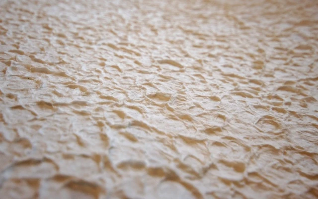 Snowdrift