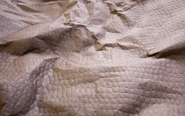 Mulberry Paper