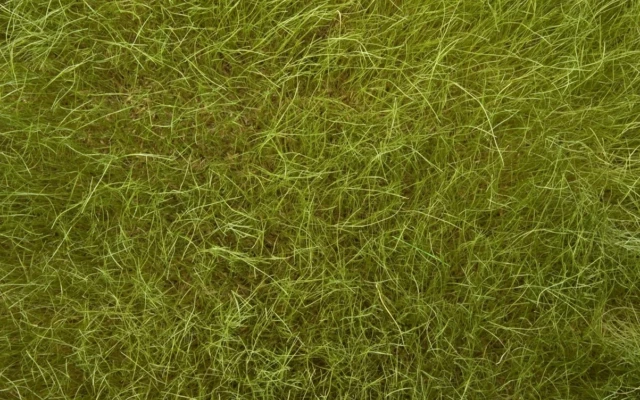 Field