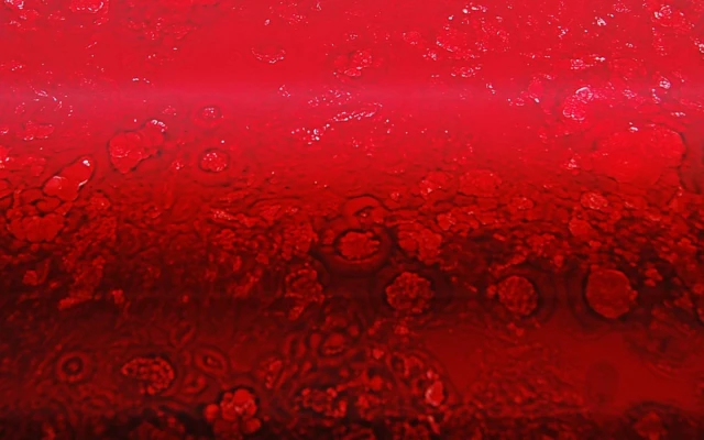 Damasco