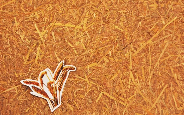 Straw Board