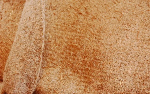 Feutralin