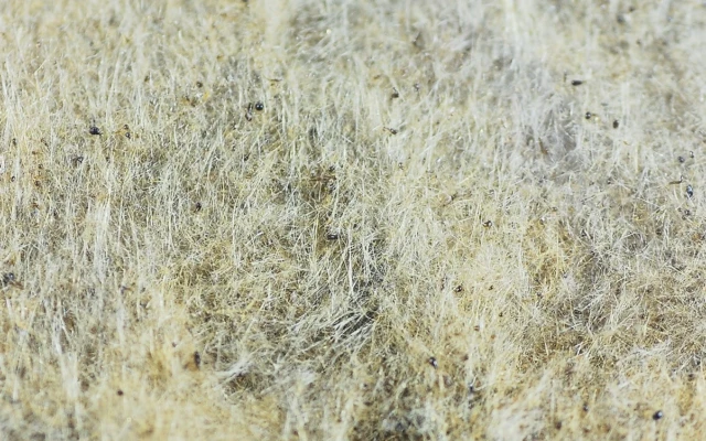 Thermafiber