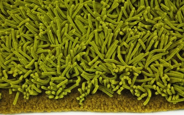Grass rug