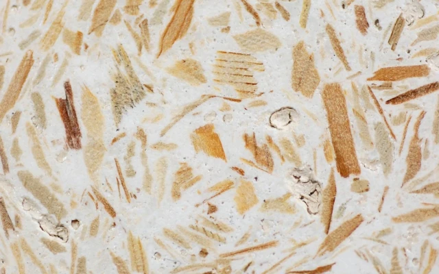 Beetlecrete – MPBWC