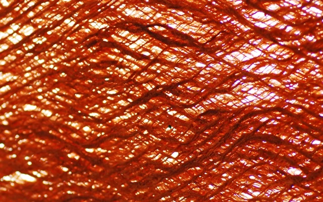 Kingskin