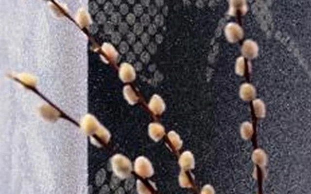Luxury walls