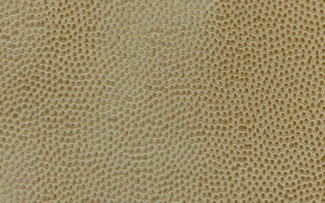 PIURO biodegradable leather