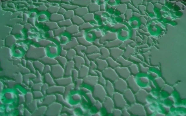 Tex-tiles