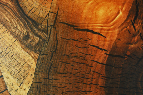 material-trends-for-the-future-4