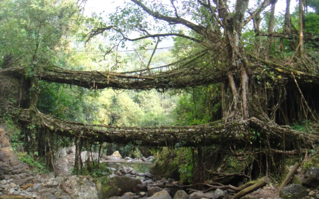 From nature to natural
