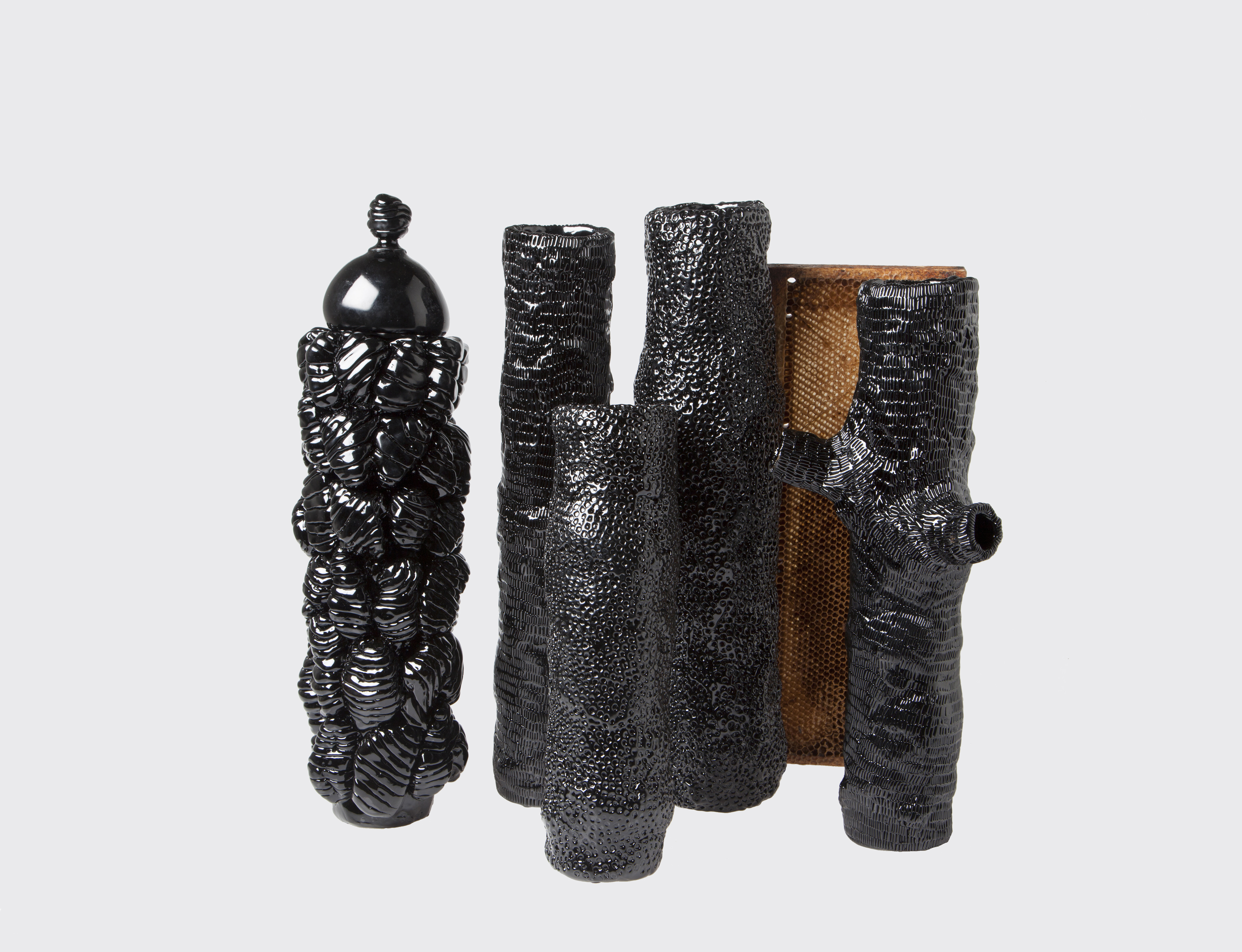 'From Insects' by Marlène Huissoud 