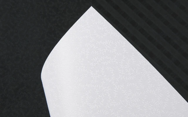 Takeo Paper