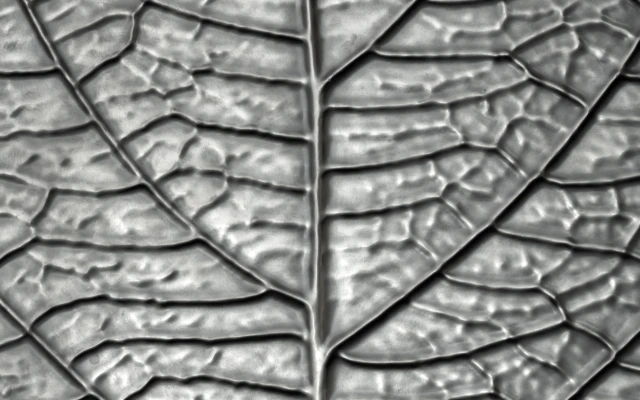 VeroMetal