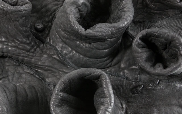 Unexpected Leather