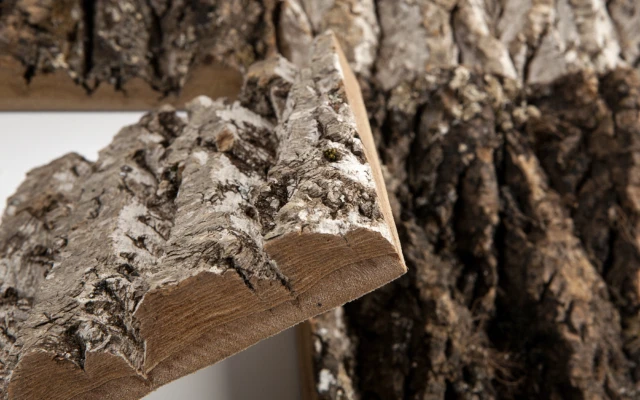 Bark