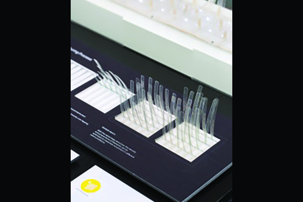 Moya Power: A New Way of Generating Light from Wind 1