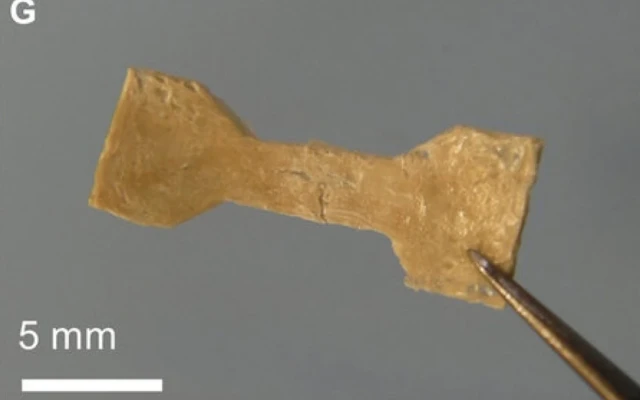 Self-Healing Material Activated By Water