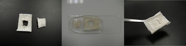 New Coating to make fabric self-healing inspired by squids 1