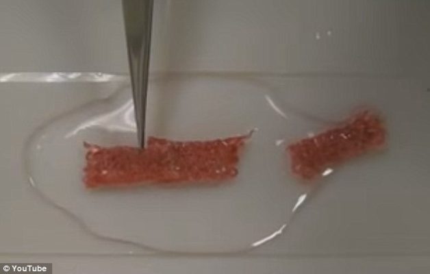 New Coating to make fabric self-healing inspired by squids 2