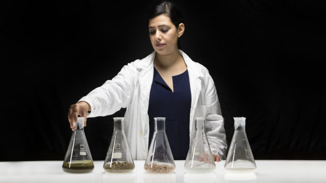 Mestic: bioplastic made from cow dung 2