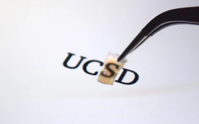 Transparent and flexible material is a near-perfect broadband absorber