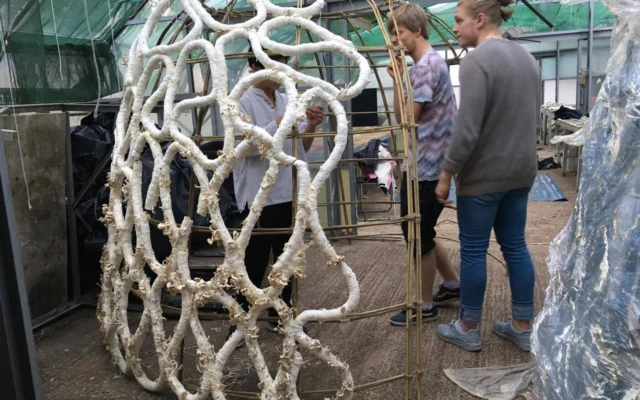 Grown Structures: A zero-waste structure made from mycelium