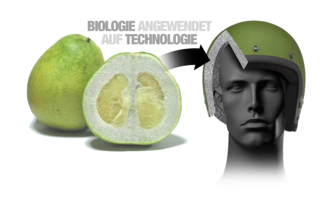 Protective gear inspired by fruit and reptile scales