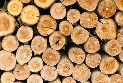 Lignin: a material to watch