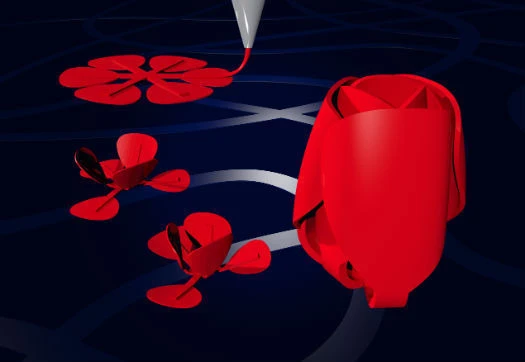 A self-folding tulip made from common 3D printing material