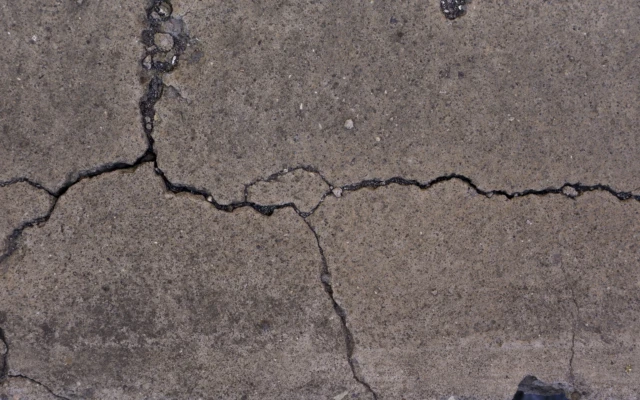 This fungus infused concrete can heal itself (not suitable for broken hearts)