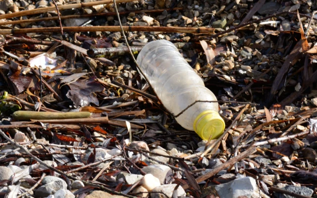 PET eating enzyme could help fight plastic pollution