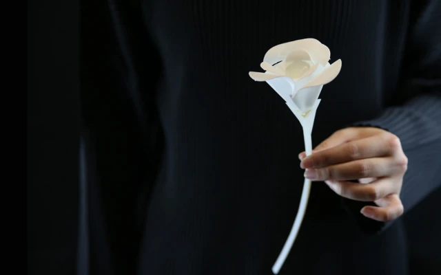4D printed thermoplastic objects morph when heated