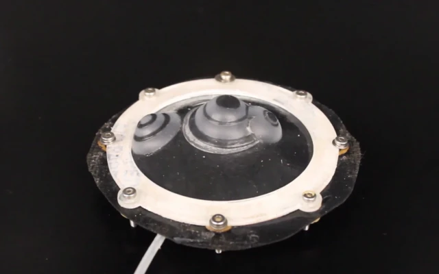 Octopus inspires texture-changing camouflage robot skin