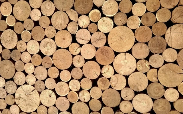 Wood cellulose material is stronger than spider silk