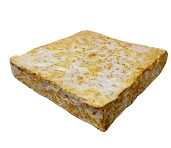 New building material is made from fungus, rice and glass