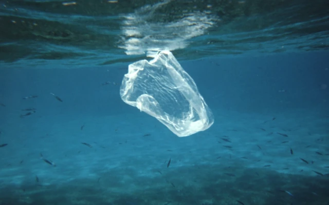 What to do with ocean plastic on World Oceans Day