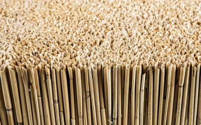 Acoustic reed elements