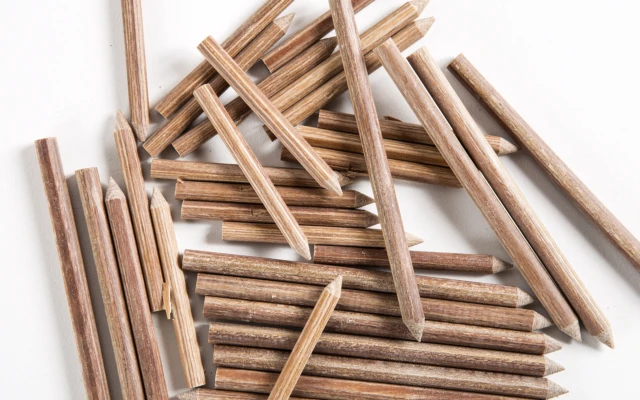 Lignoloc wooden nails