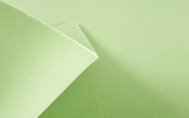 Algae foam